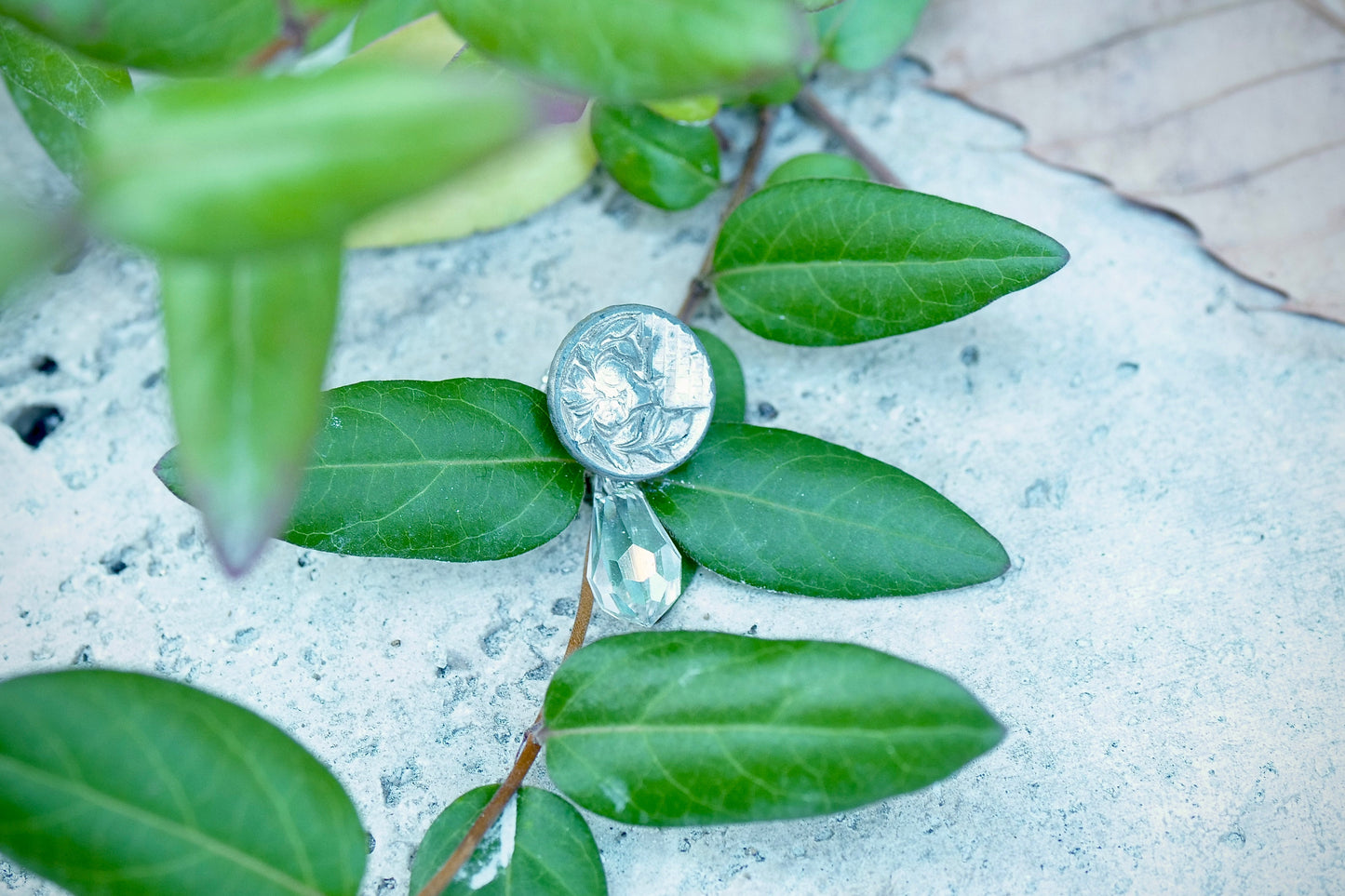 フランスボタン＆クリスタル